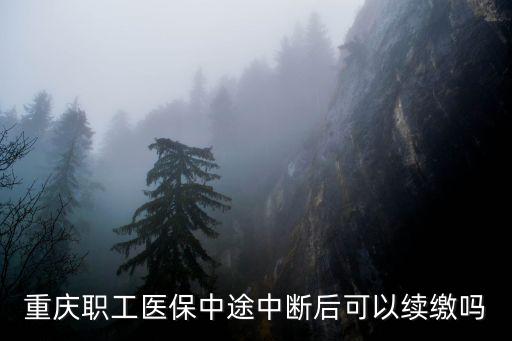 重慶職工醫保中途中斷后可以續繳嗎
