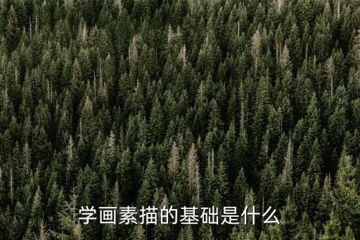 學(xué)畫(huà)素描的基礎(chǔ)是什么