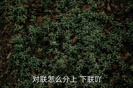 對聯的上下聯怎么區分,非格律對聯注重平整和因字