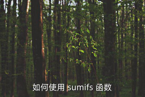 如何使用 sumifs 函數