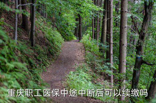 重慶市網上續交職工醫保，重慶職工醫保在哪里繳
