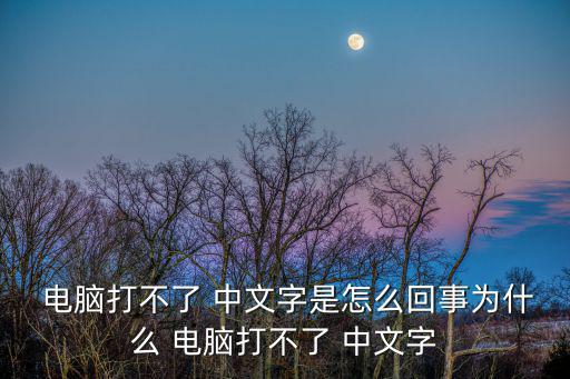  電腦打不了 中文字是怎么回事為什么 電腦打不了 中文字