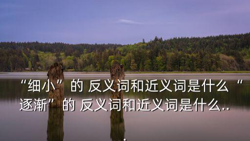 “細小”的 反義詞和近義詞是什么“逐漸”的 反義詞和近義詞是什么...