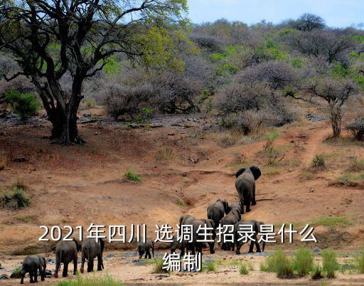 選調生是什么編制,選調學生到基層鍛煉2年可獲公務員編制