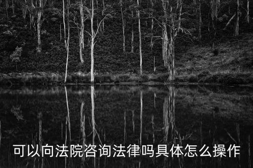 可以向法院咨詢法律嗎具體怎么操作