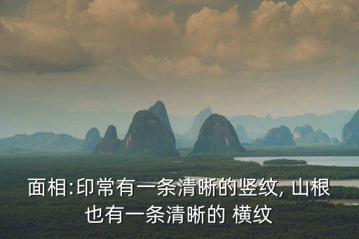 面相:印常有一條清晰的豎紋, 山根也有一條清晰的 橫紋