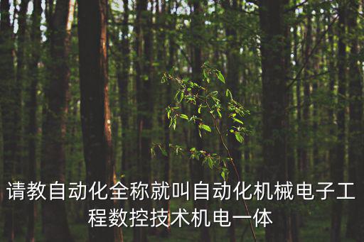 請(qǐng)教自動(dòng)化全稱就叫自動(dòng)化機(jī)械電子工程數(shù)控技術(shù)機(jī)電一體