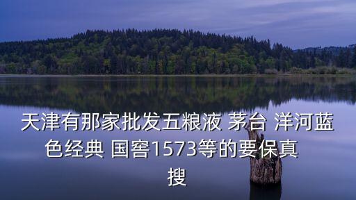 天津有那家批發五糧液 茅臺 洋河藍色經典 國窖1573等的要保真  搜