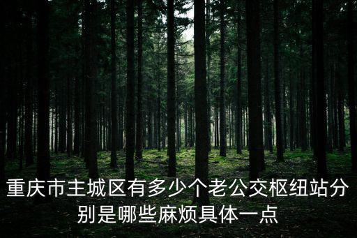 重慶市主城區有多少個老公交樞紐站分別是哪些麻煩具體一點