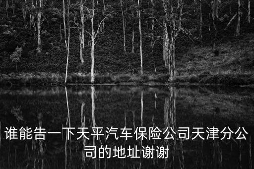 誰能告一下天平汽車保險公司天津分公司的地址謝謝