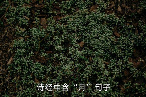  詩經中含“月”句子