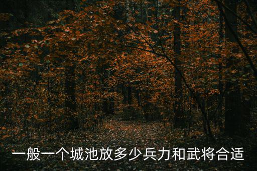 一般一個(gè)城池放多少兵力和武將合適