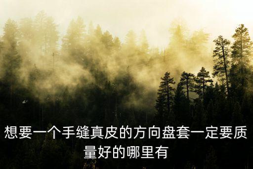 想要一個手縫真皮的方向盤套一定要質量好的哪里有