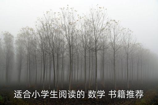 適合小學生閱讀的 數(shù)學 書籍推薦