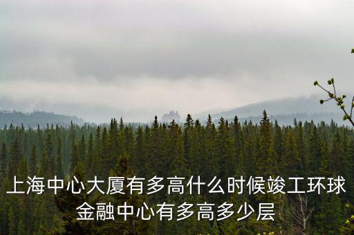 上海中心大廈總投資多少億美元，第一高樓上海中心何時開建