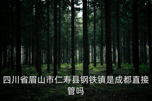 四川省眉山市仁壽縣鋼鐵鎮是成都直接管嗎