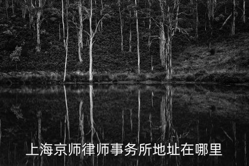 上海京師律師事務(wù)所地址在哪里