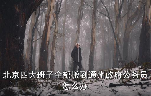 北京四大班子全部搬到通州政府公務員怎么辦