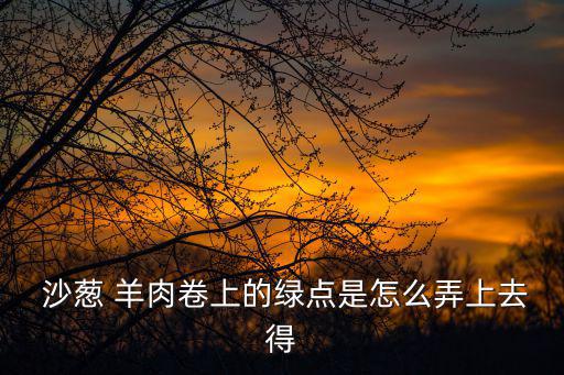  沙蔥 羊肉卷上的綠點是怎么弄上去得