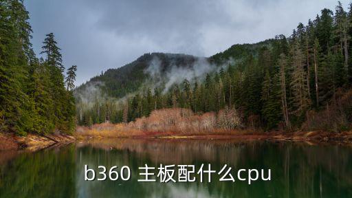  b360 主板配什么cpu