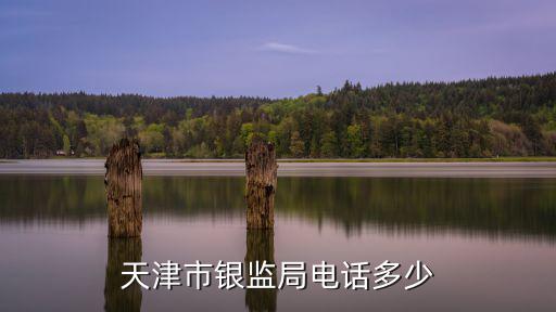 天津市銀監會報警電話，銀監會24小時電話是多少