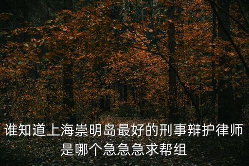 誰知道上海崇明島最好的刑事辯護律師是哪個急急急求幫組