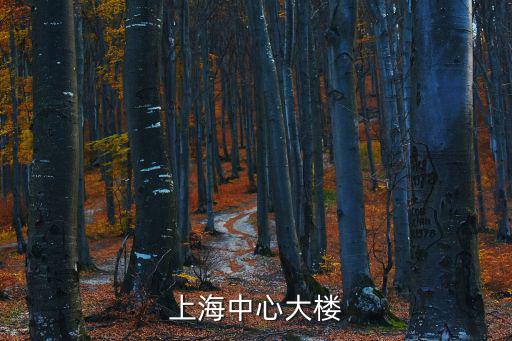 上海中心大樓