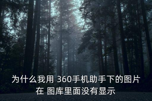 為什么我用 360手機助手下的圖片在 圖庫里面沒有顯示