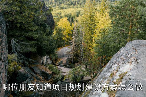 哪位朋友知道項目規劃建設方案怎么做