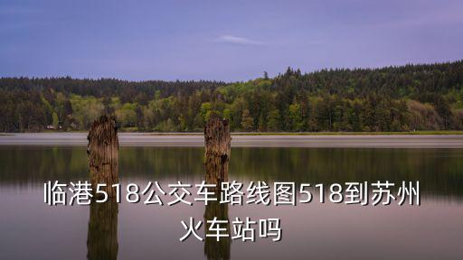 臨港雅戈爾星海云境售樓處，急從金雞湖要到歐尚超市要坐幾路車
