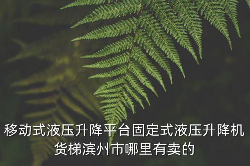 移動式液壓升降平臺固定式液壓升降機貨梯濱州市哪里有賣的