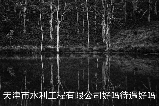 天津市水利工程有限公司好嗎待遇好嗎