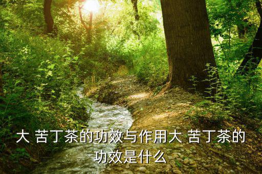 大 苦丁茶的功效與作用大 苦丁茶的功效是什么