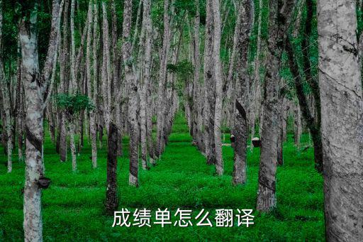  成績單怎么翻譯
