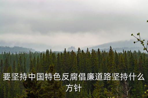 要堅(jiān)持中國(guó)特色反腐倡廉道路堅(jiān)持什么方針