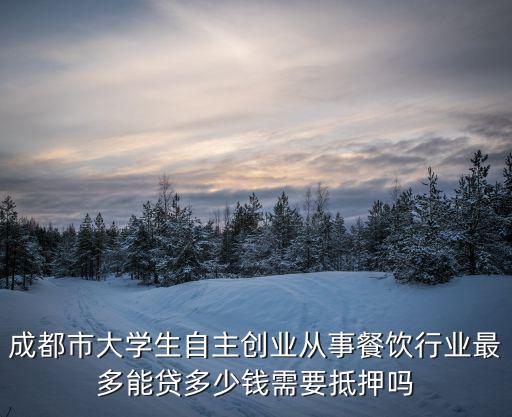 成都市大學生自主創業從事餐飲行業最多能貸多少錢需要抵押嗎