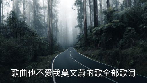歌曲他不愛我莫文蔚的歌全部歌詞