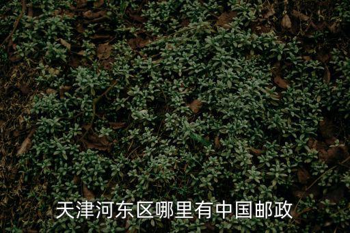 天津河東區哪里有中國郵政