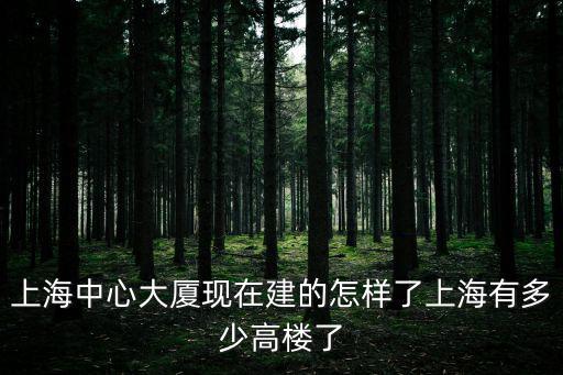 上海中心大廈現(xiàn)在建的怎樣了上海有多少高樓了