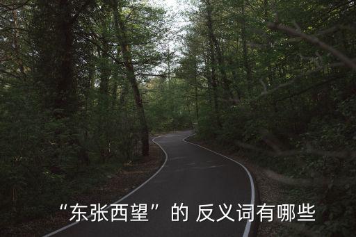 “東張西望”的 反義詞有哪些