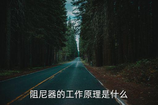 阻尼器的工作原理是什么