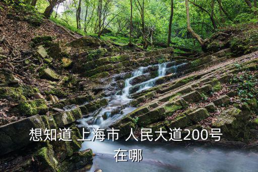 想知道 上海市 人民大道200號 在哪