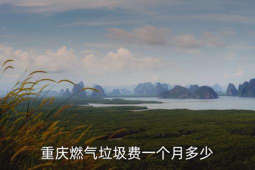 重慶燃?xì)饫M(fèi)一個(gè)月多少