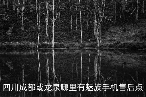 四川成都或龍泉哪里有魅族手機售后點