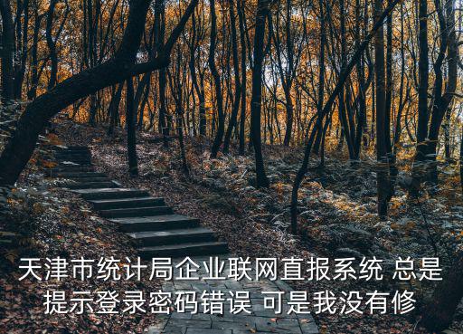 天津市統計局網上直報，天津市統計局企業聯網直報系統 總是提示登錄密碼錯誤 可是我沒有修