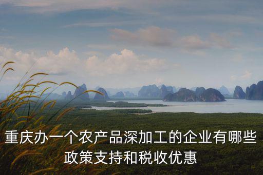 重慶辦一個農產品深加工的企業有哪些政策支持和稅收優惠