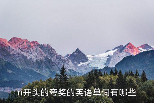 n開頭的夸獎的英語單詞有哪些