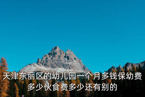 天津東麗區的幼兒園一個月多錢保幼費多少伙食費多少還有別的