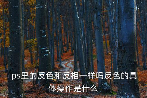  ps里的反色和反相一樣嗎反色的具體操作是什么