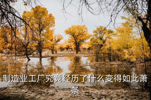 產(chǎn)業(yè)空心化,美國開始回產(chǎn)業(yè)大部分人能做的工作都是高端行業(yè)